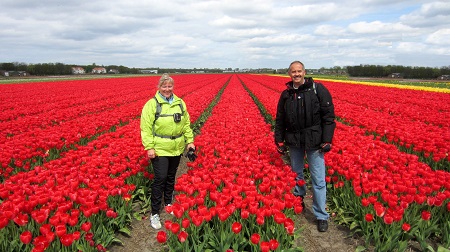 Noordwijkerhout